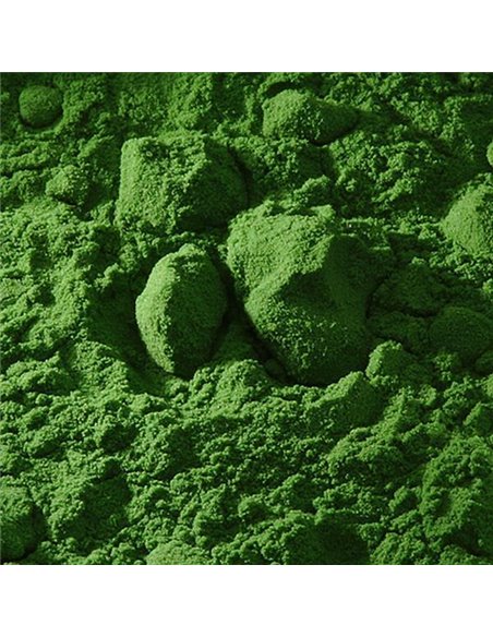 Buonarroti σκόνη αγιογραφίας πράσινο τσιμέντου 100gr