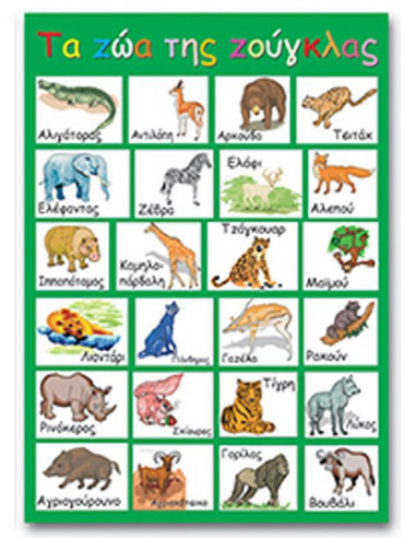 Next εκπαιδευτική αφίσα "Τα ζώα της ζούγκλας" 50x70εκ.