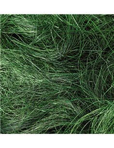 Efco χόρτο πράσινο 50γρ.