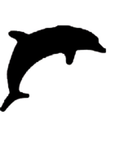 Διακορευτής "Δελφίνι" 1,8εκ.