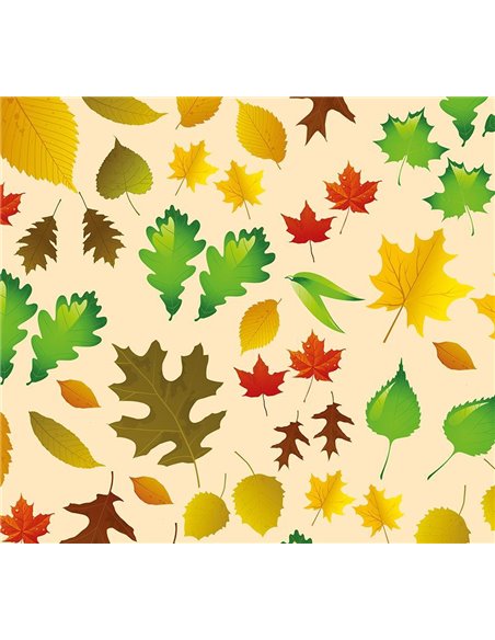 Χαρτόνι "φύλλα" 50x70εκ. 300γρ.