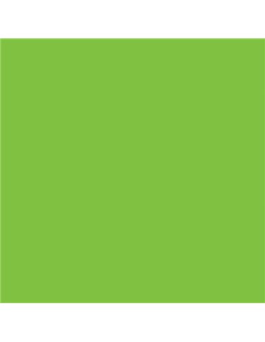 Χαρτόνι κολάζ πράσινο 50x70εκ. 220γρ.