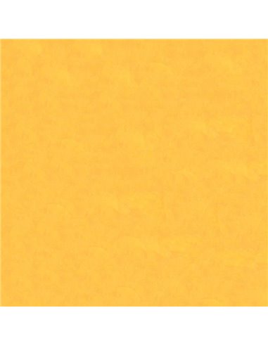 Χαρτόνι ανοιχτό πορτοκαλί 50x70εκ. 160γρ.