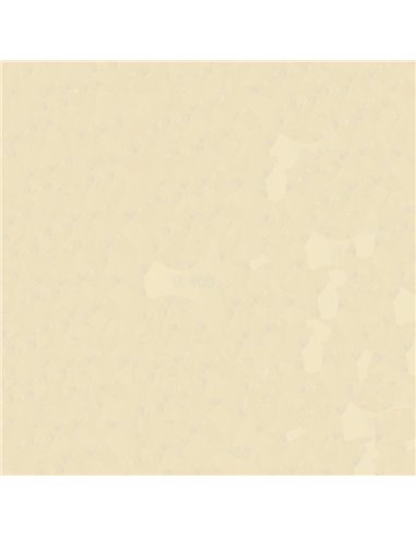 Χαρτόνι χρωματιστό κρεμ 50x70εκ. 160γρ.