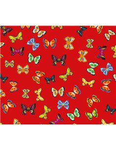 Χαρτόνι "πεταλούδες" 50x70εκ. 300γρ.