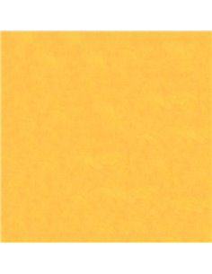 Χαρτόνι αν. πορτοκαλί 70x100εκ. 160γρ.