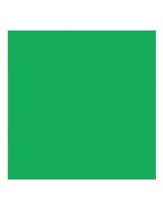 Χαρτόνι πράσινο 70x100εκ. 160γρ.