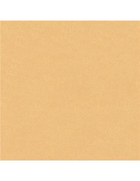 Χαρτόνι κολάζ μπεζ άμμου 70x100εκ. 220γρ.