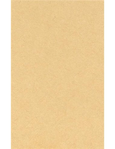 Χαρτόνι οικολογικό καφέ-καφέ 400γρ. 50x70εκ.