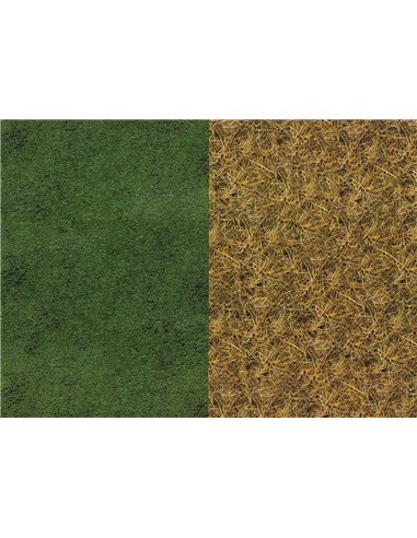 Rainbow χαρτόνι "γρασίδι ξερό-πράσινο" 300γρ. 50x70εκ.