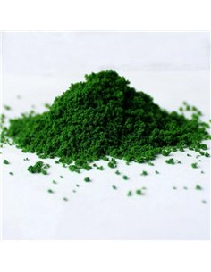 Γρασίδι σε σκόνη πράσινο 50gr.