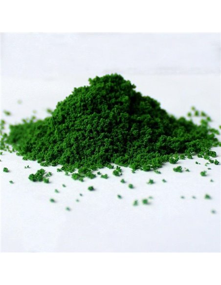 Γρασίδι σε σκόνη πράσινο 50gr.