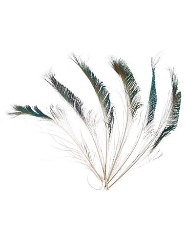 Φτερά παγωνιού μήκος 30-35 εκ. συσκ. 6 τεμ. σε blister