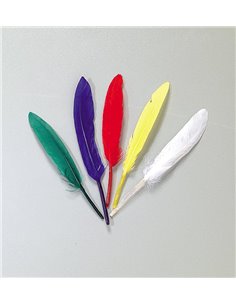 Φτερά ινδιάνου 14εκ.. 72τεμ. σε διάφορα χρώματα