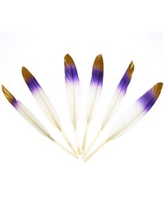 Φτερά χήνας με μπλε-κίτρινους χρωματισμούς, 15-17 εκ., 6τεμ. σε blister