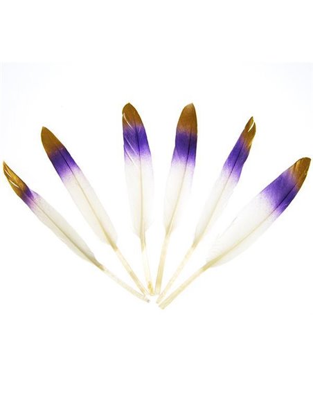 Φτερά χήνας με μπλε-κίτρινους χρωματισμούς, 15-17 εκ., 6τεμ. σε blister