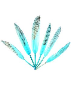 Φτερά χήνας με γαλάζιους χρωματισμούς, 15-17 εκ., 6τεμ. σε blister