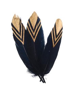 Φτερό μαύρο-χρυσό 19εκ.