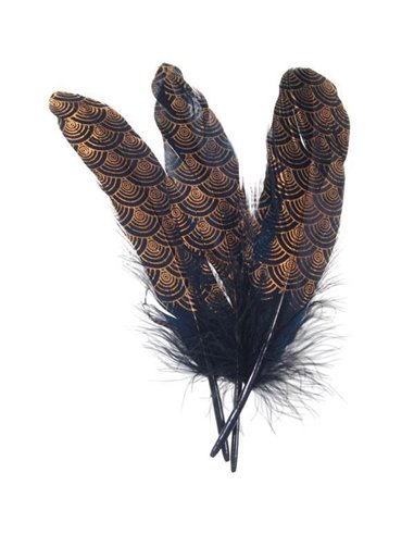 Φτερό μαύρο-χρυσό 16εκ.