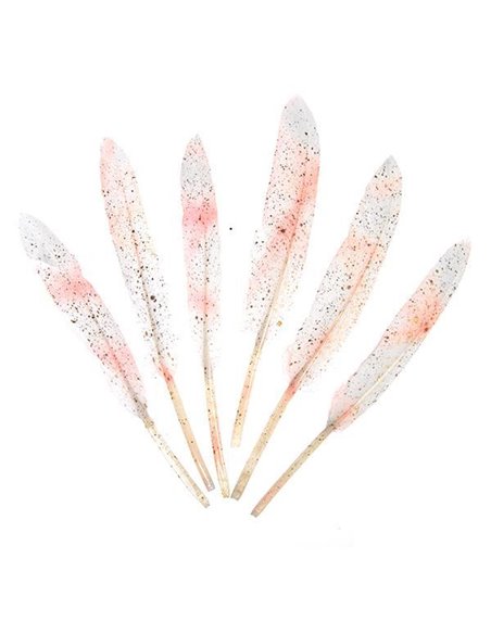 Φτερά χήνας με ροζ χρωματισμούς, 15-17 εκ., 6τεμ. σε blister