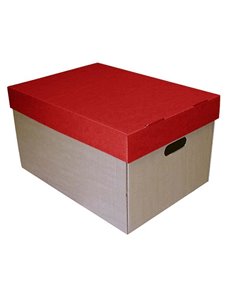 Νext κουτί μπορντώ καπάκι Υ30x53x38εκ.