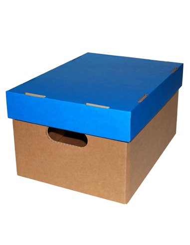 Νext κουτί classic γαλάζιο καπάκι Α4 Υ18x23x32εκ.