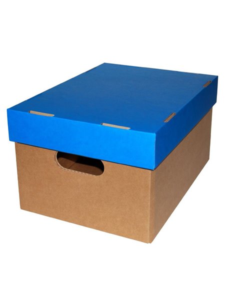 Νext κουτί classic γαλάζιο καπάκι Α4 Υ18x23x32εκ.