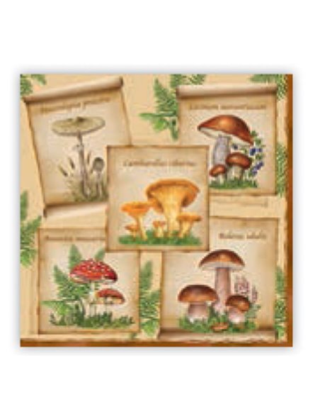 Χαρτοπετσέτες 20τεμ. "μανιτάρια" 33x33εκ. (SLOG014901)