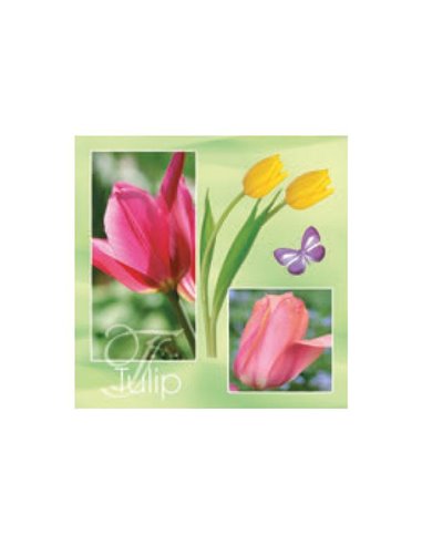 Χαρτοπετσέτες 20τεμ. "τουλίπες" 33x33εκ. (SDOG 003801)