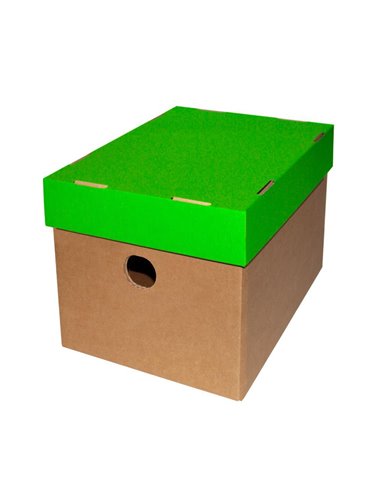 Νext κουτί classic λαχανί καπάκι Α5 Υ16x16x22εκ.