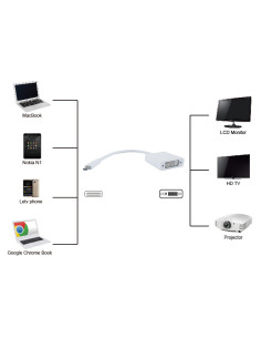 POWERTECH αντάπτορας USB Type-C σε DVI PTH-036, 4K, λευκό