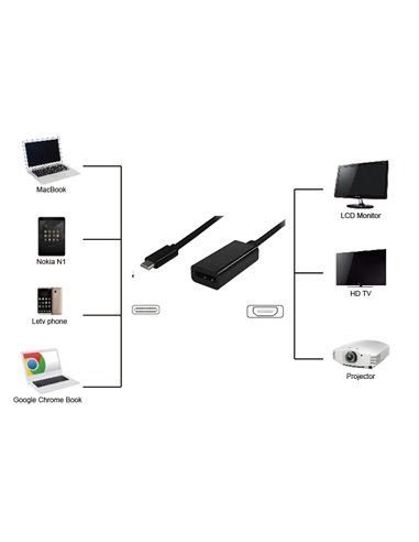 POWERTECH αντάπτορας USB Type-C σε DisplayPort PTH-039, 4K, ασημί