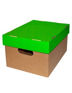 Νext κουτί classic λαχανί καπάκι Α4 Υ18x23x32εκ.