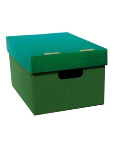 Νext κουτί classic ολόκληρο πράσινο Α5 Υ16x16x22εκ.