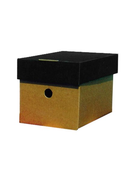 Νext κουτί classic μαύρο καπάκι Α5 Υ16x16x22εκ.