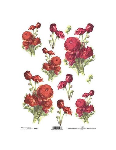 Ριζόχαρτο "red ranunculus" 21x29εκ.   (ITD-R420)