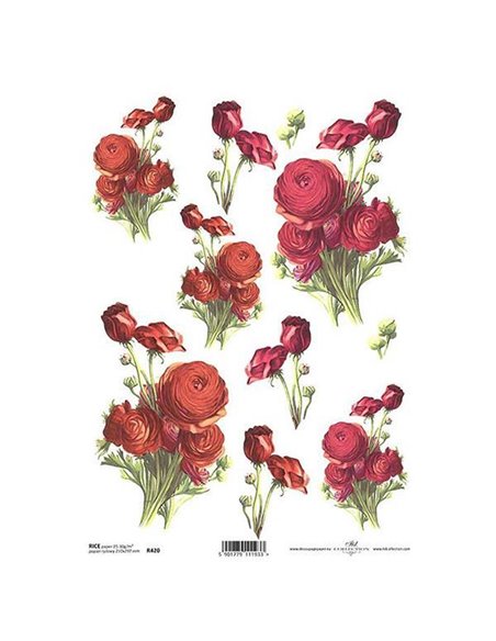 Ριζόχαρτο "red ranunculus" 21x29εκ.   (ITD-R420)