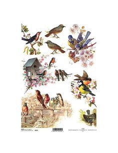 Ριζόχαρτο "birds" 21x29εκ.   (ITD-R325)