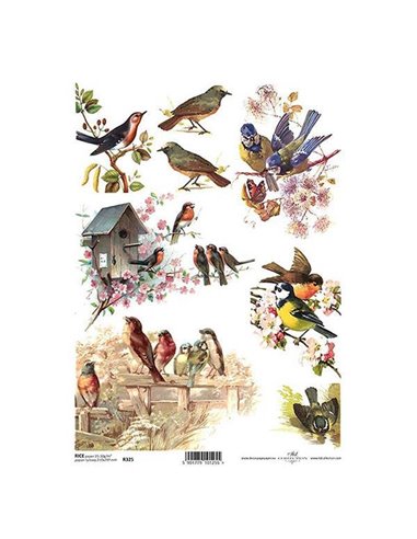 Ριζόχαρτο "birds" 21x29εκ.   (ITD-R325)