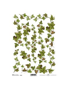 Ριζόχαρτο "ivy" 21x29εκ.   (ITD-R321)