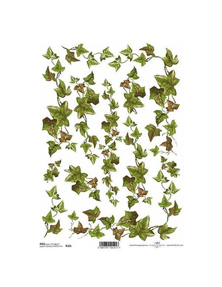 Ριζόχαρτο "ivy" 21x29εκ.   (ITD-R321)