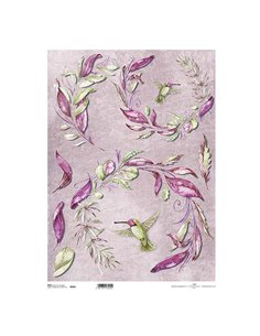 Ριζόχαρτο "colibri" 42x29.7εκ.   (ITD-R049L)