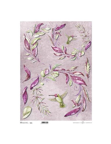 Ριζόχαρτο "colibri" 42x29.7εκ.   (ITD-R049L)