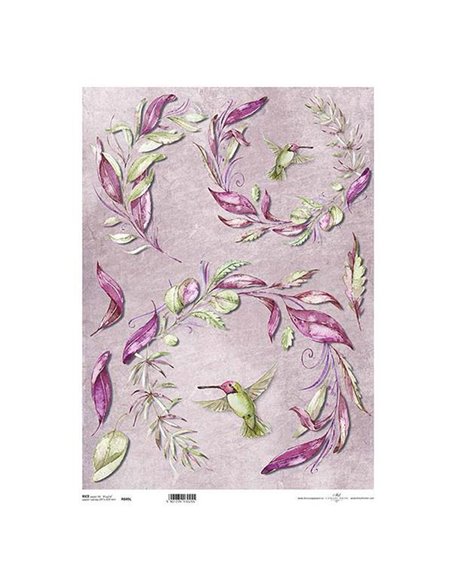 Ριζόχαρτο "colibri" 42x29.7εκ.   (ITD-R049L)