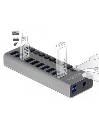 DELOCK USB hub με διακόπτες 63670, 10x USB, 5Gbps, LED, γκρι