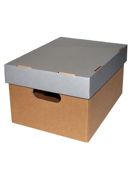 Νext κουτί classic γκρι καπάκι Α4 Υ18x23x32εκ.