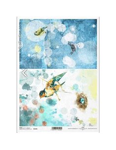 Ριζόχαρτο "Birds" 21x29εκ.   (ITD-R1545)