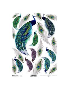 Ριζόχαρτο "peecock" 21x29εκ.   (ITD-R324)