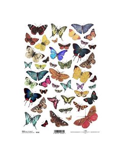 Ριζόχαρτο "butterflies 1" 21x29εκ.   (ITD-R230)