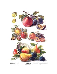 Ριζόχαρτο "fruits" 21x29εκ.   (ITD-R397)